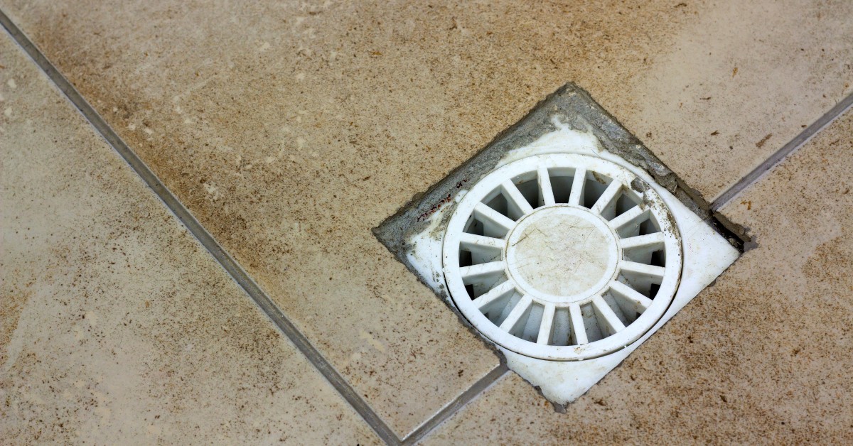 A white, plastic drain on the floor of a space with light brown tile flooring and gray-brown grout between the tiles.